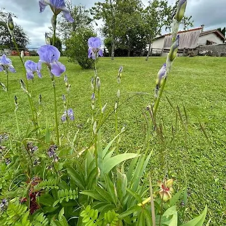 Maison Le Ragean * Lafeuillade-en-Vezie